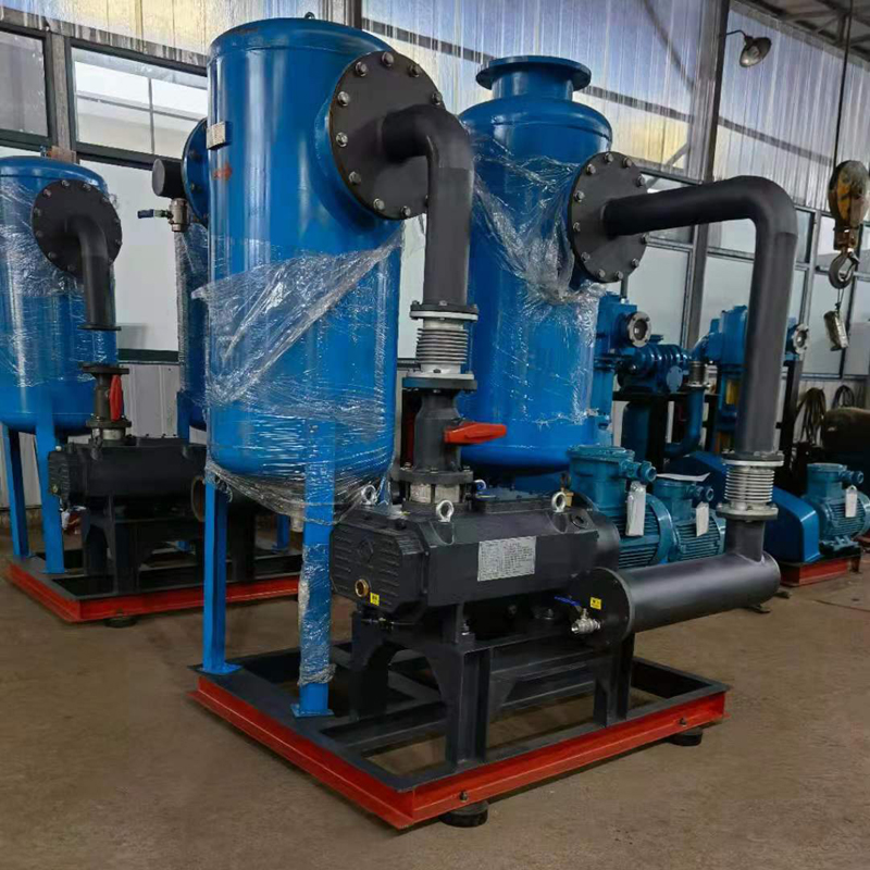 海門真空泵公司定製真空抽氣係統配套DN250旋風糖心VLOG官方入口現場